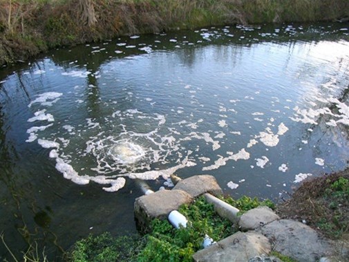 含酚廢水有何危害，怎樣處理?